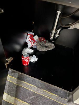Trash in the cabinet under