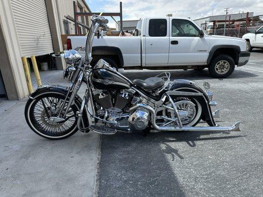 100 anniversary springer