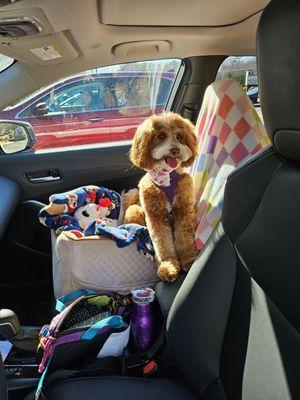 Family Veterinary Clinic