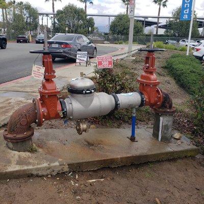 Backflow Replacement