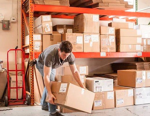 Silverback Relocation and Move Management