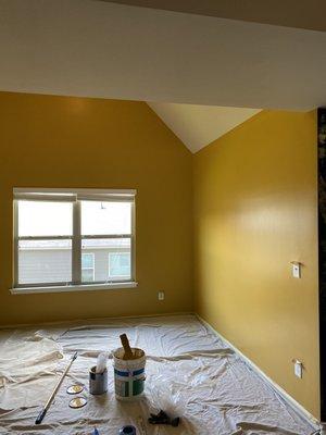Ross Commercial & Residential Painters