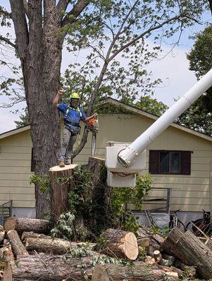 Terry's Tree Service