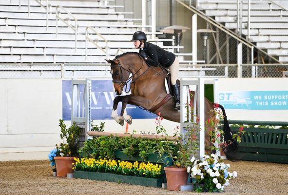 AF Training And Sales