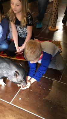 Scales & Tales Traveling Zoo