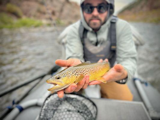 Beautiful Brown Trout caught while floating the Arkansas River