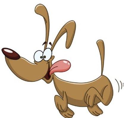 Camdens Pet Services