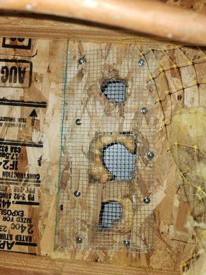 Results Pest Control