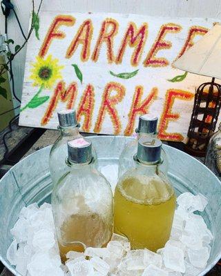 Free Kombucha tastings!