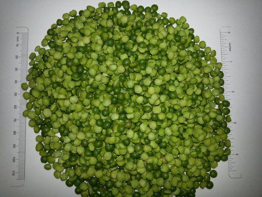 George F. Brocke & Sons