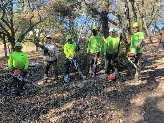 TreePro Professional Tree Care