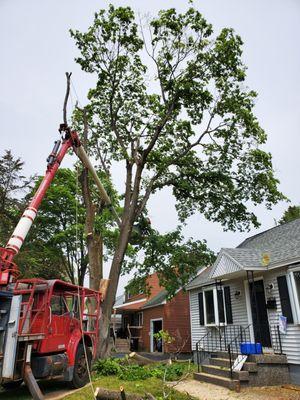 Defined Property Solutions