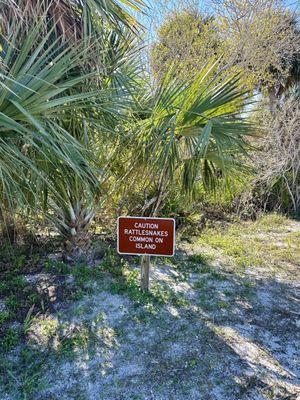 Caladesi Honeymoon Ferry Service