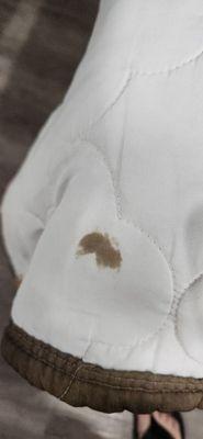 Evidence A4.2 "More blood stains"