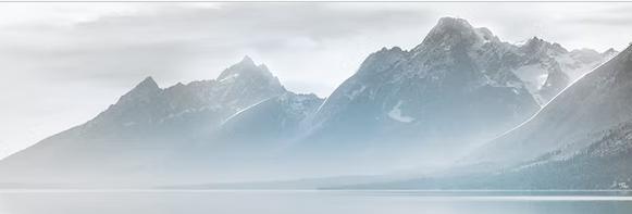 Parliament Chiropractic