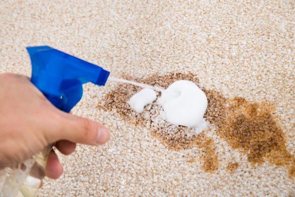 Dwayne Carpet And Upholstery Cleaning