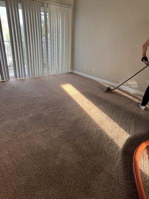 Dela Painting & Carpet Cleaning