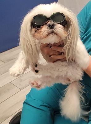 Molly wearing her goggles for her treatment with Miss Autumn.