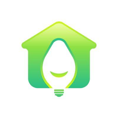 Professional Holiday Lights