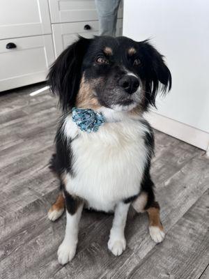 99 Problems But Groom'n Ain't 1