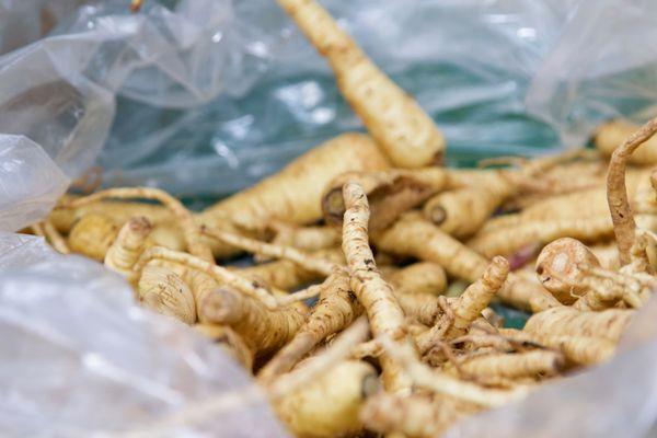 Youth Science Institute