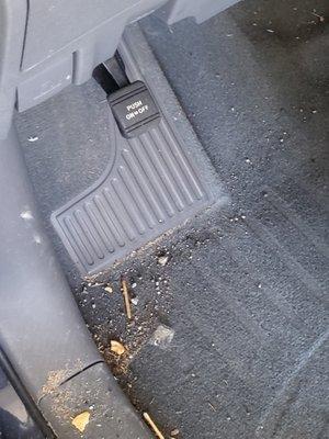 Roadrunner Mobile Carwash