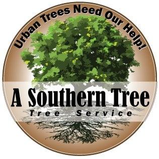 A Southern Tree