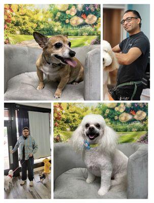 Happy Paws Dog Grooming