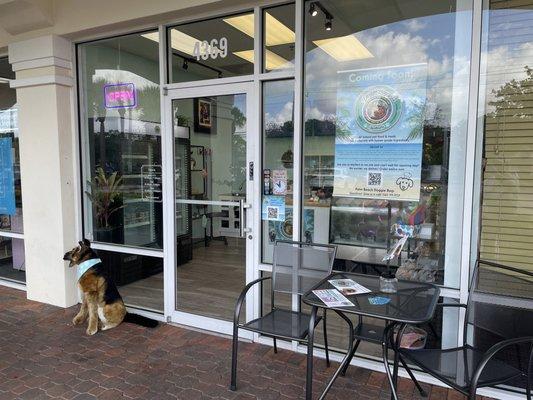 Seating to enjoy an on the spot treat with your pup