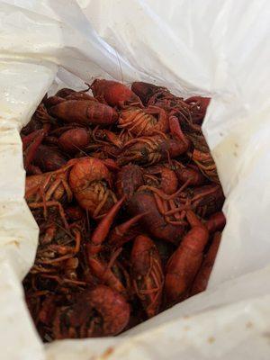 Crawfish To Go