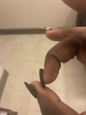 $90 Nails lifting after 4 days