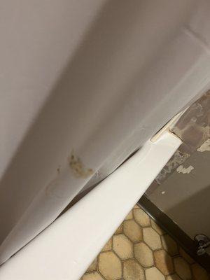 What do you think it is?