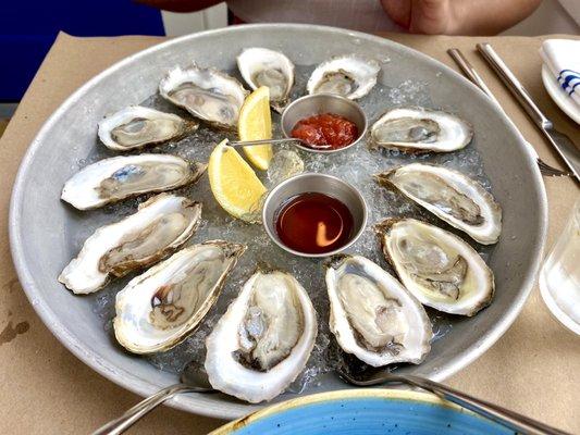 Fresh Oysters