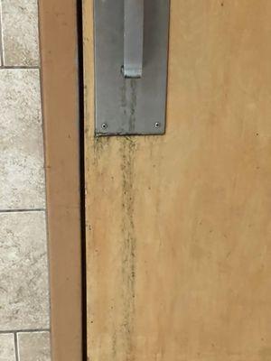 Restroom is absolutely yeeeeeeckkk!!