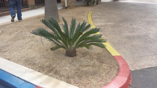 I love love this place best food in town.