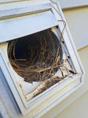 McGinnis Dryer Vent Cleaning Service