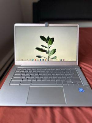 Hp Chromebook laptop