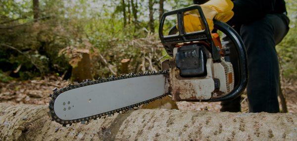 M&M Total Tree Service