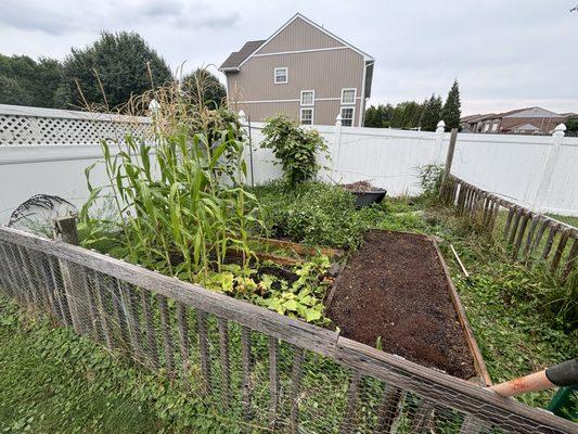 McAndrews Garden Oasis