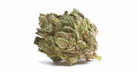 Citadel Church of Crenshaw 15 Cap