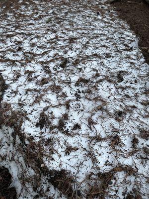 Snow! In July! This was taken on 7/1/2023