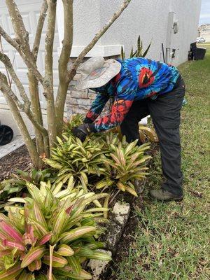 Al cleaning up a customer's flower bed.