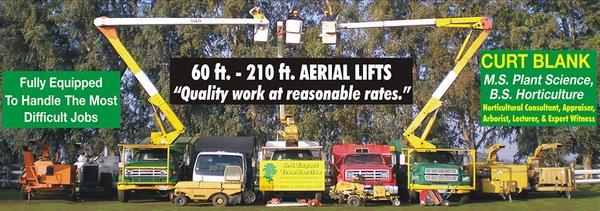 A-1 Expert Tree Service