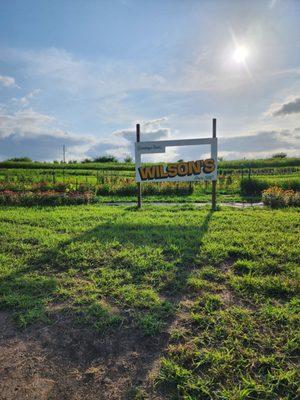 Wilson's Orchard And Farm - Des Moines