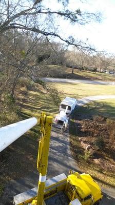 Campbell's Tree Service