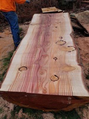 All Seasons Tree Service