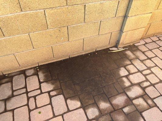 More poor workmanship of pavers not leveled.