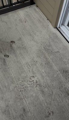 Custom Cleaning and Care