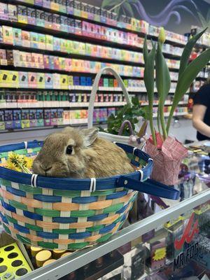 VIP Smoke & Wireless Amelia