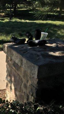 Trash and clothing left from sears portrait studio